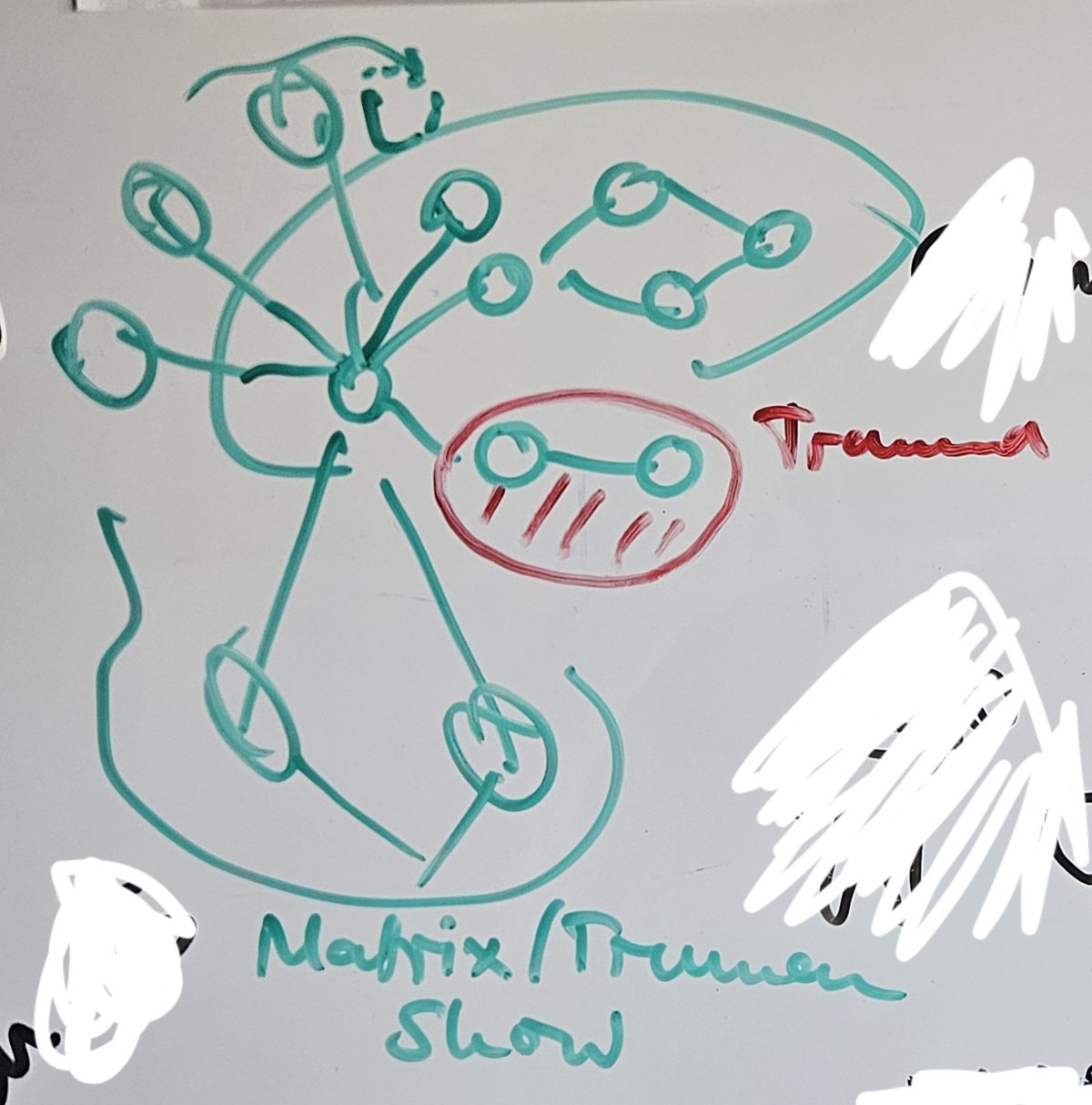 Whiteboard-Skizze: ein mentaler Graph, in dem ein Trauma-Bereich rot eingekreist ist